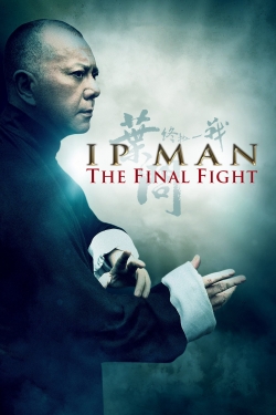 watch Ip Man: The Final Fight online free