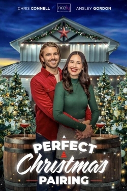 watch A Perfect Christmas Pairing online free