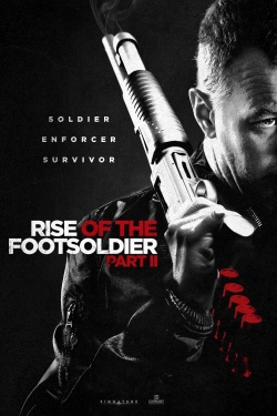 watch Rise of the Footsoldier Part II online free
