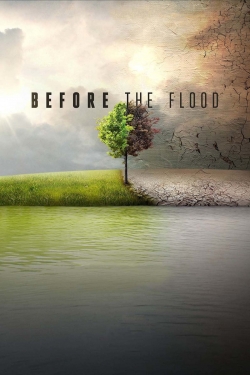 watch Before the Flood online free