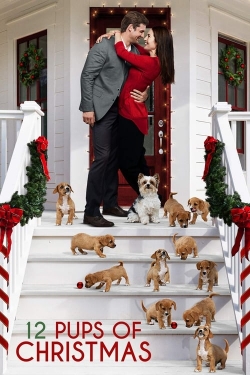 watch 12 Pups of Christmas online free