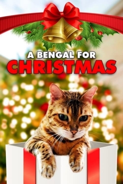 watch A Bengal for Christmas online free