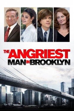 watch The Angriest Man in Brooklyn online free