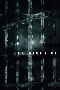 watch The Night Of online free