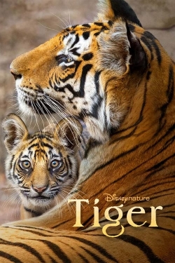 watch Tiger online free
