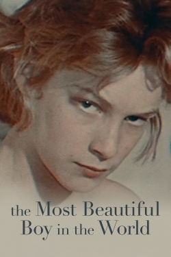 watch The Most Beautiful Boy in the World online free