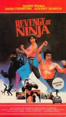 watch Revenge of the Ninja online free