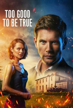 watch Too Good To Be True online free