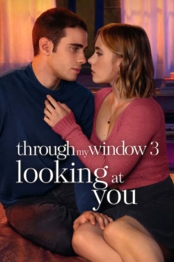 watch Through My Window 3: Looking at You online free