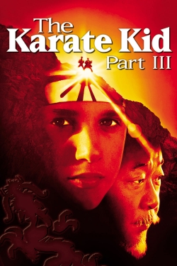watch The Karate Kid Part III online free