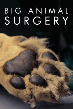 watch Big Animal Surgery online free