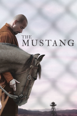 watch The Mustang online free