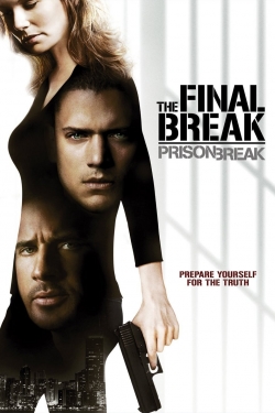 watch Prison Break: The Final Break online free