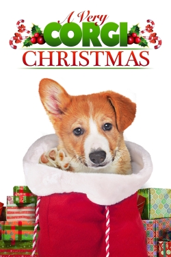 watch A Very Corgi Christmas online free