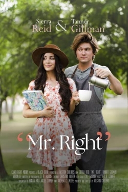 watch Mr. Right online free