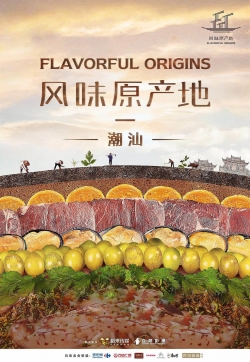 watch Flavorful Origins online free