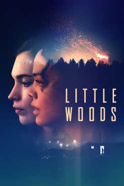 watch Little Woods online free