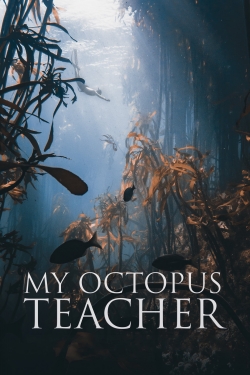 watch My Octopus Teacher online free