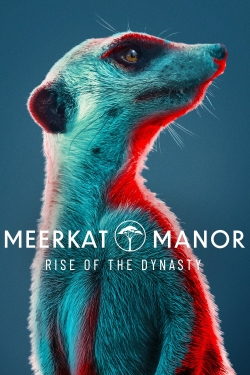 watch Meerkat Manor: Rise of the Dynasty online free