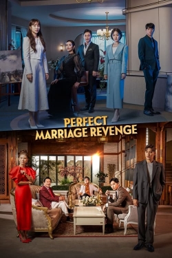 watch Perfect Marriage Revenge online free