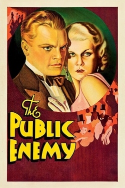 watch The Public Enemy online free