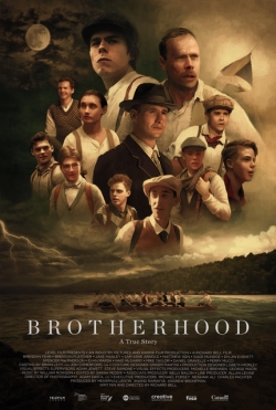 watch Brotherhood online free