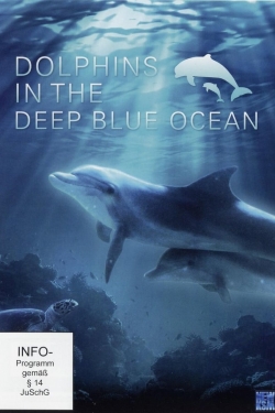 watch Dolphins in the Deep Blue Ocean online free