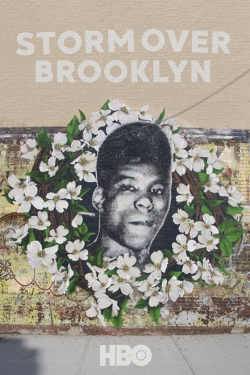 watch Yusuf Hawkins: Storm Over Brooklyn online free
