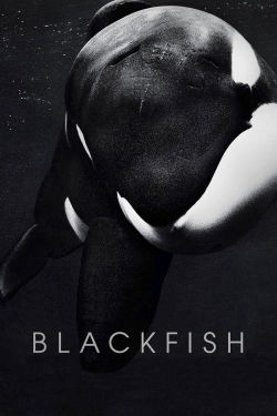 watch Blackfish online free