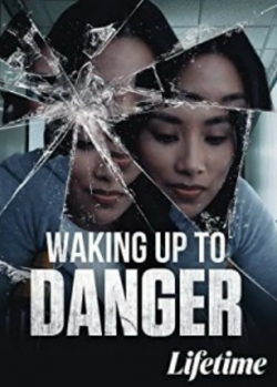 watch Waking Up To Danger online free