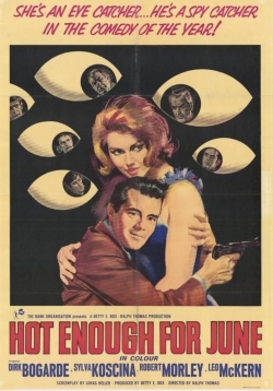 watch Hot Enough for June online free