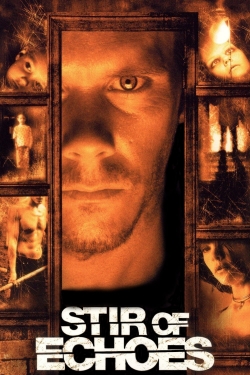 watch Stir of Echoes online free