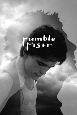 watch Rumble Fish online free