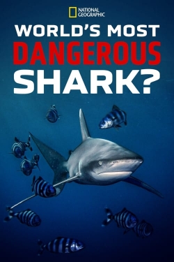 watch World's Most Dangerous Shark? online free
