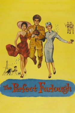 watch The Perfect Furlough online free