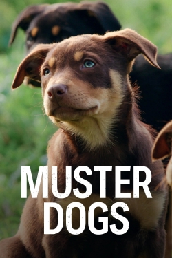 watch Muster Dogs online free