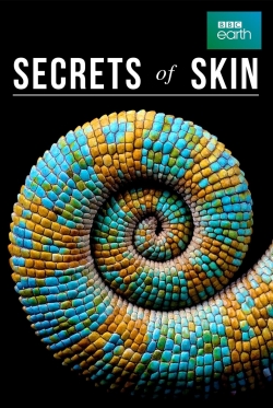watch Secrets of Skin online free