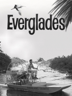 watch Everglades online free