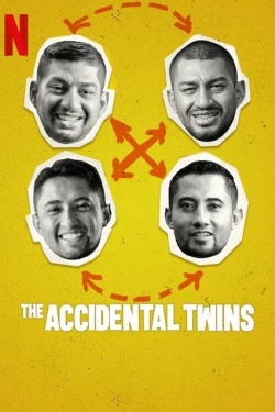 watch The Accidental Twins online free