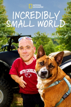 watch Incredibly Small World online free