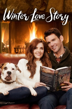 watch Winter Love Story online free