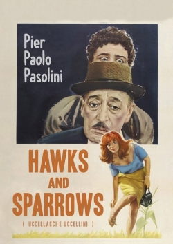 watch Hawks and Sparrows online free