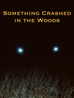 watch Something Crashed in the Woods online free