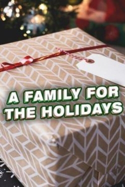 watch A Family for the Holidays online free