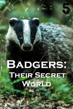 watch Badgers: Their Secret World online free