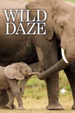 watch Wild Daze online free