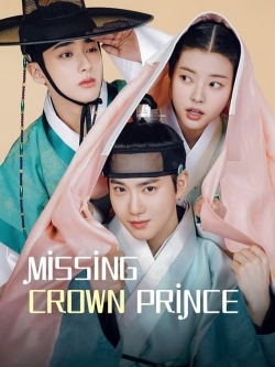 watch Missing Crown Prince online free