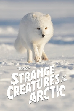 watch Strange Creatures of the Arctic online free