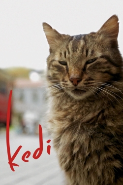 watch Kedi online free