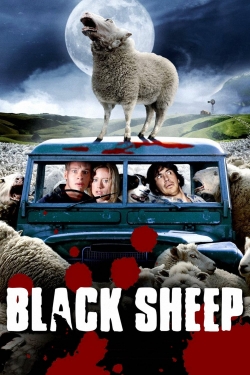 watch Black Sheep online free